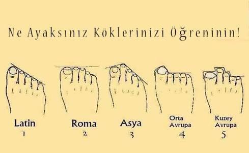 Hangi ayak şekli güzel ?