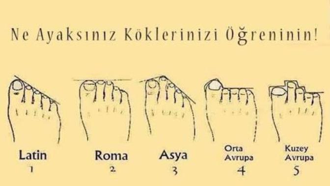Hangi ayak şekli güzel?