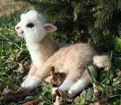 Lamalar sizce de çok tatlı değiller mi☺?