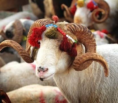 Bayram ziyaretine giderken ne alınır?