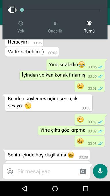Sizce bana karşı ilgisimi var (Mesaj görüntülü)?
