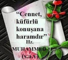 Küfür etmek bir cehalet ve aptallık göstergesi  midir?