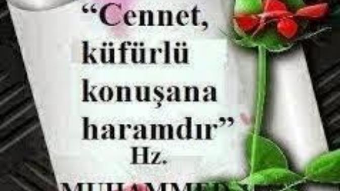 Küfür etmek bir cehalet ve aptallık göstergesi midir?