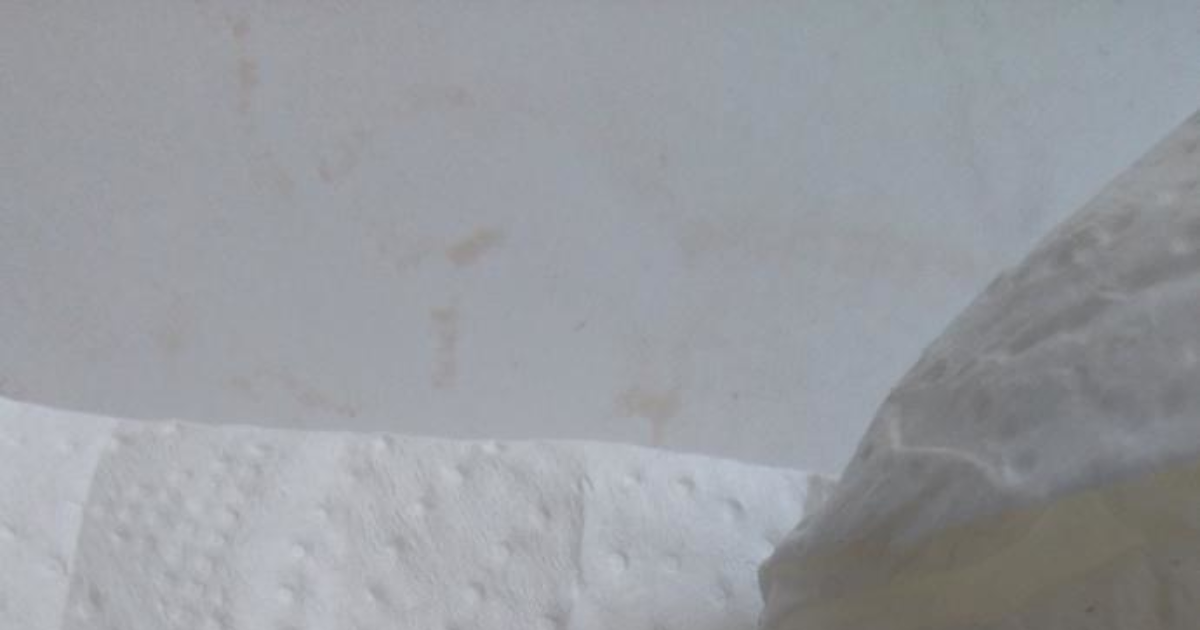 Bu hangi böcek türü ve zehirli midir? KizlarSoruyor