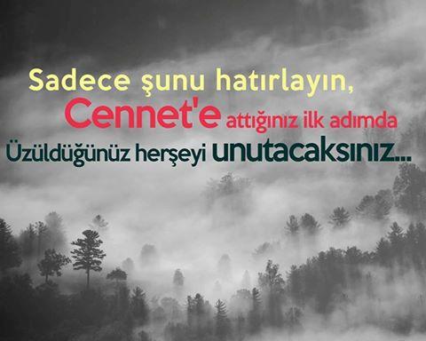 Cennete adım attığınız ilk adım da , üzüldüğünüz her şeyi unutacaksınız . Hayırlı kandiller nasılsınız : ) ?