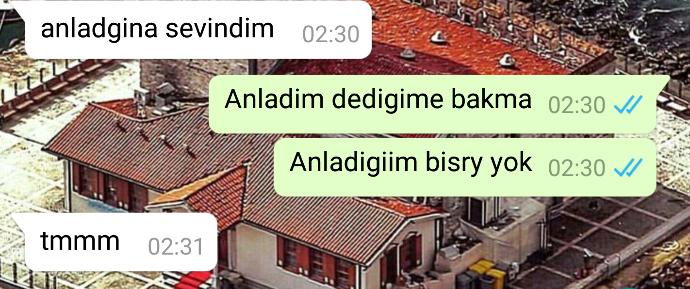 Bazen ne yapmak istediklerini cidden anlamiyorum detay (+1)?