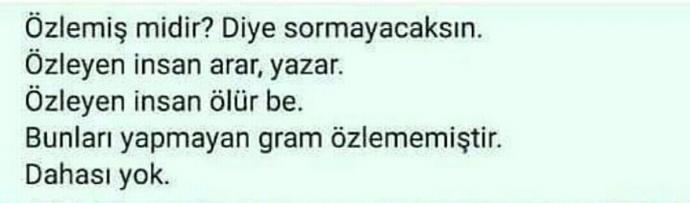Özlediğiniz zaman elinizden gelen her şeyi yapar mısınız?