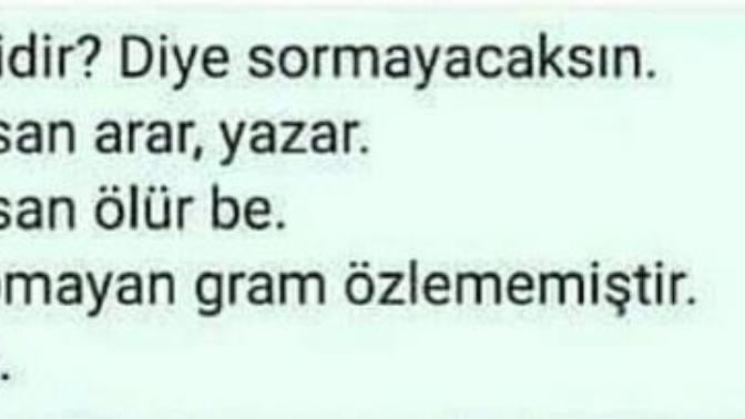 Özlediğiniz zaman elinizden gelen her şeyi yapar mısınız?