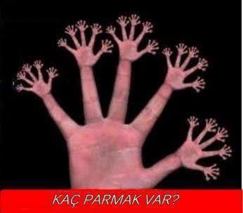 Resimde kaç parmak var 😂😂😒😒??