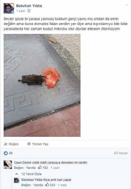 Yarasaya Domates Verdim Ölürmüyüm ?