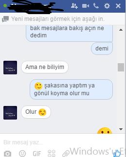Trolleme bu mu ( Resimli ) İyi biten bir konuşma da trolleme :D düşünceleriniz nedir :)) ?