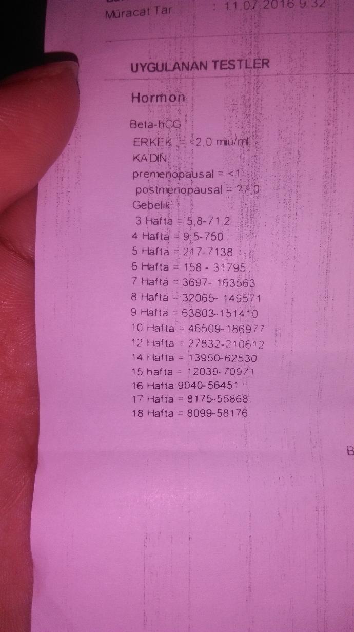 Sizce hamilemiyim?