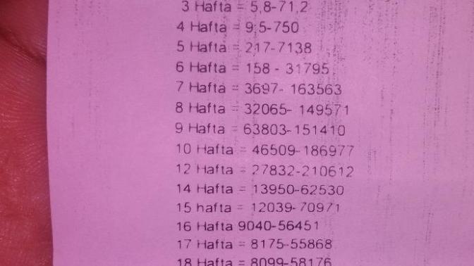 Sizce hamilemiyim?