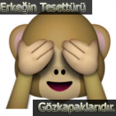 Tesettüre bakış açınız nedir? Sizce tesettür bir arap geleneği mi yoksa İslamiyetin bir gereği mi?