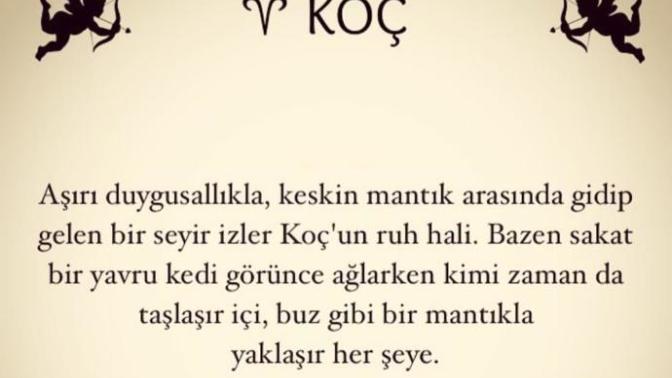 Koç burcu hakkında ne düşünüyorsunuz😍😌😁♈🐏😊☺😇?