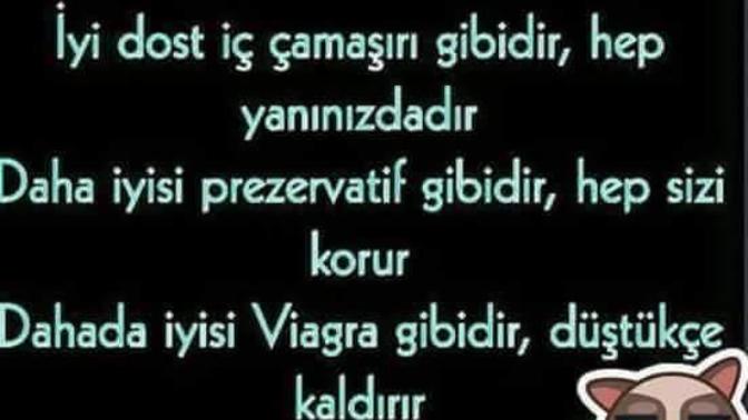 Dost kaldımı bu devirde  var mı dostunuz? resimli kaldı mııııı?