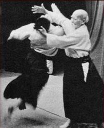 Aikido (Samurai) mı? Ninjutsu (Ninja) mı?