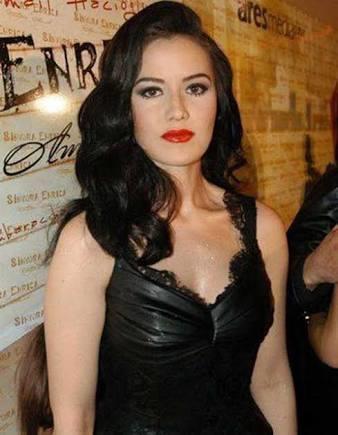 Fahriye evcen mi daha güzel hande erçel mi?