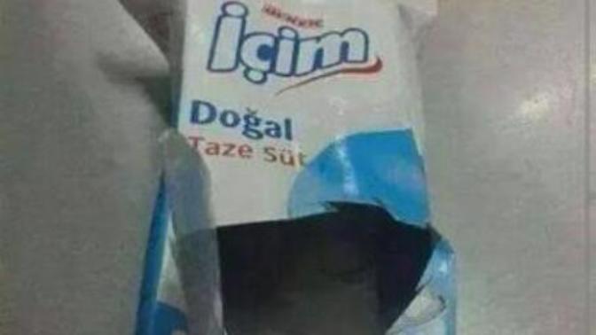 İçim parçalandı napicam😟😟😟? {GÖRSELLİ}?