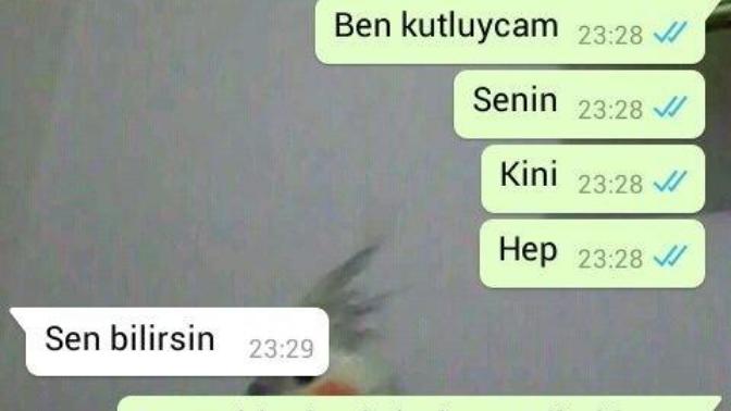 Bugün doğum günüm sevdigim kızın yaptıgına bak^^ resimli ^^?