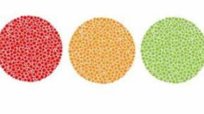 Kimsenin Göremediği 100 Milyon Farklı Renk Tonunu Görebiliyor musun?