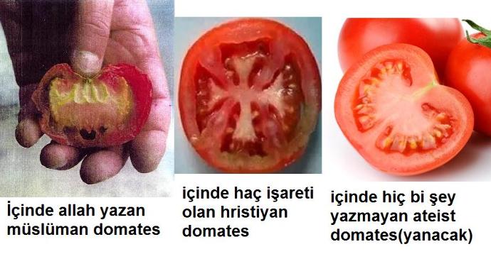 Bu domatesleri daha önce gördünüz mü?