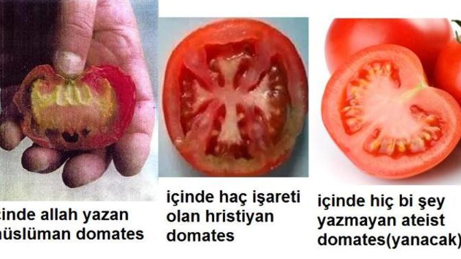 Bu domatesleri daha önce gördünüz mü?