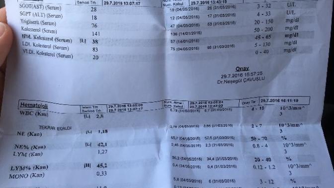 Doktor arkadaşlar bakabilir mi hemogram sonucuma 😢 ?