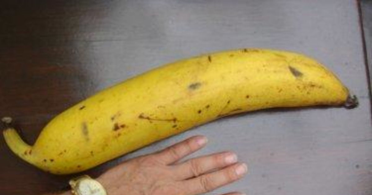 ����� �� ���� ���� � �������� �������� ������ � pic 2