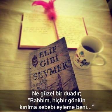 Siz hiç