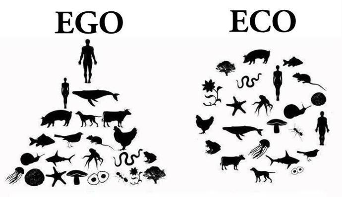 Veganlık ve veganlar hakkında ne düşünüyorsunuz?