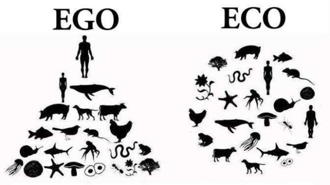 Veganlık ve veganlar hakkında ne düşünüyorsunuz?
