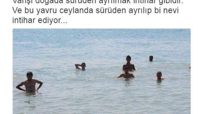 Güzel ve kezban olmayan bir kız Bağcılar , Esenyurt , esenler ve bağlı belediyelere giderse ne olur?