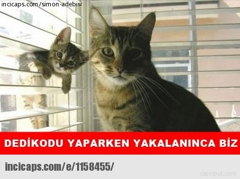 Kızlar, Dedikodu yapmak için kaç kişi bir araya gelmeli?
