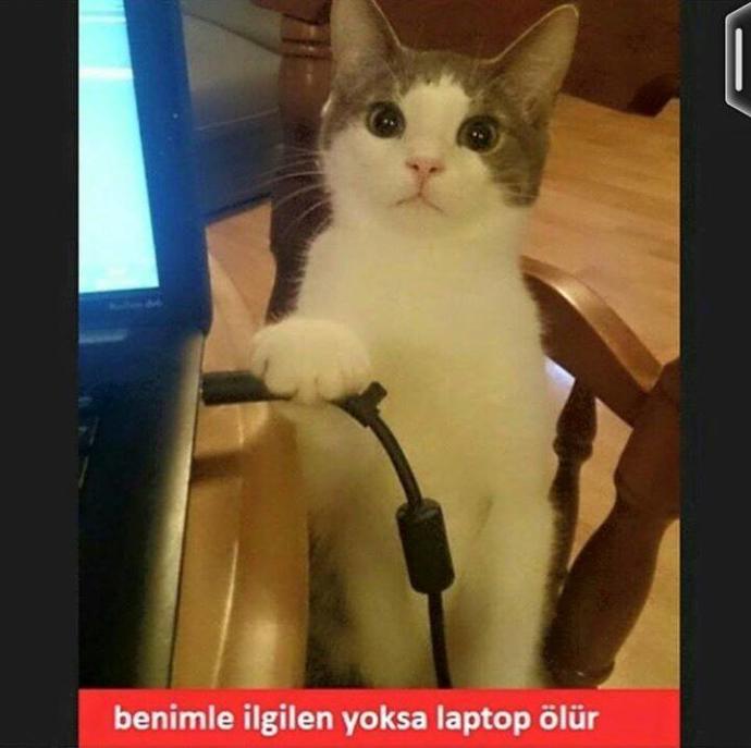Benimle İlgilen Diye Birini Tehtit Ettinizmi Hiç :D ?