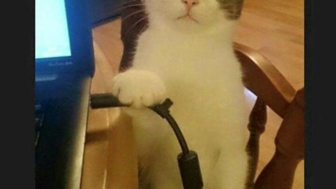 Benimle İlgilen Diye Birini Tehtit Ettinizmi Hiç :D?