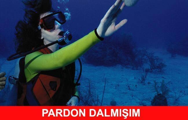 Şu an aklınıza gelen ilk soğuk espri hangisi 😂😂😂 ?