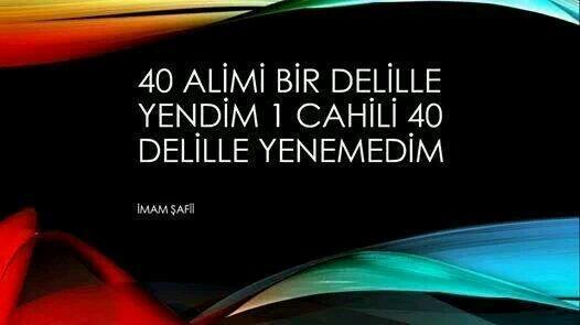 Cahillerle tartışma içine girer misiniz?