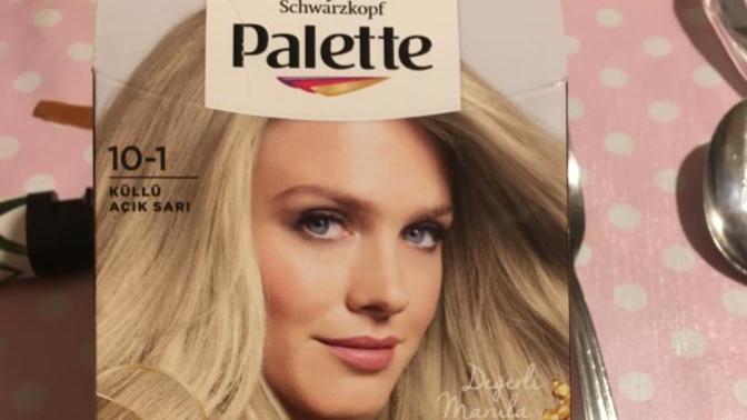 Kızlar, Palette Deluxe 10.1 ve Palette İcc 10.1 arasındaki fark nedir, kullananlar var mı?