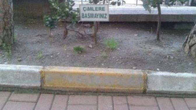 Neden çimlere basmak yasak?