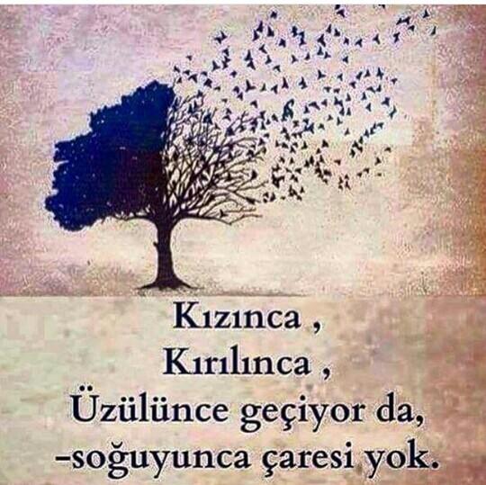Kızınca kırılınca üzülünce geçiyor da soğuyunca geçiyor mu ?