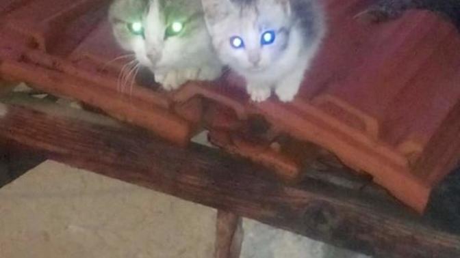 Sizce, kadınlar mı yoksa erkekler mi daha iyi birer ebeveyn oluyor?