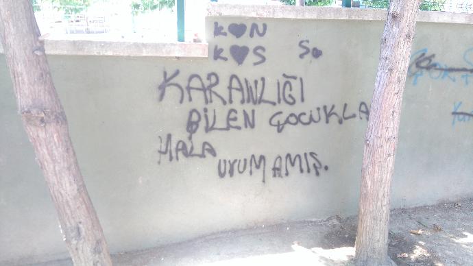 Semtinizde duvar yazıları var mı?