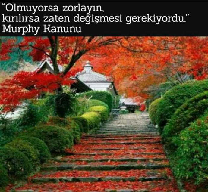 Olmuyorsa da zorlamalı mı insan?