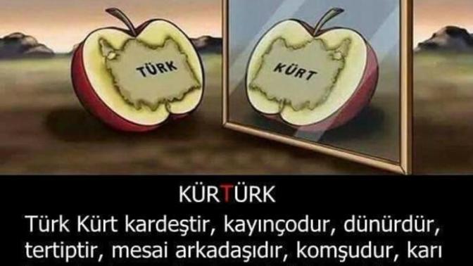Sizce Kürt-Türk kardeş midir?