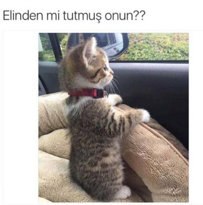 Sevdiğiniz kişiyi hiç uzaktan izlemek zorunda kaldınız mı?