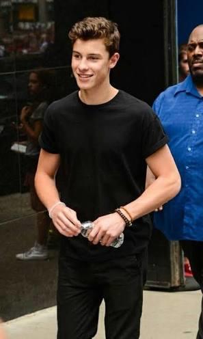 Shawn Mendes hakkında ne düşünüyorsunuz? Justin bieberdan daha iyi değil mi?