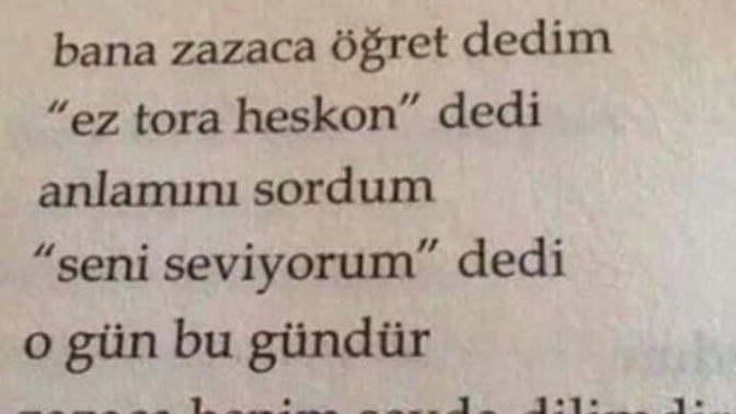 Zazalar hakkında ne düşünüyorsunuz?