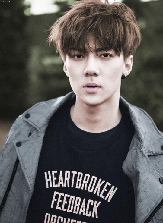 Hangisi yakisikli EXO?
