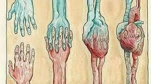 Kalbin pusulası nedir?